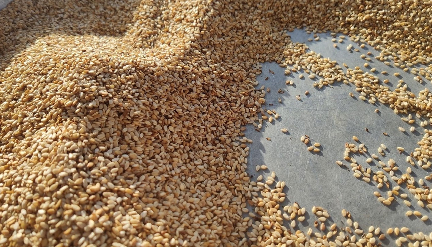 Uluslararası Susam İthalat İhracat